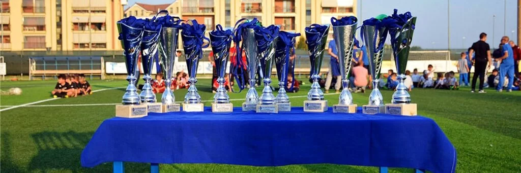 Artificial Football Grass Field Italy 1024x341 1