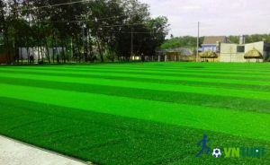 thi cong san bong co nhan tao