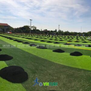 Hạt cao su sân cỏ nhân tạo bóng đá